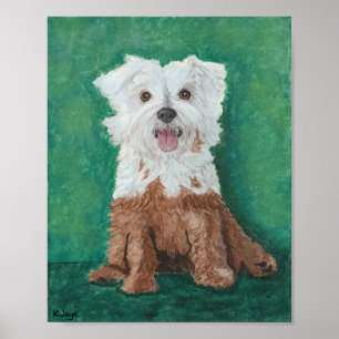 Poster Pequeno Cachorro Branco Depois do Banho - Impressã