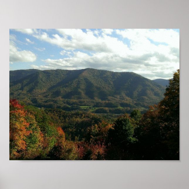 Póster Pequeno Caminho do Pastor (Frente)