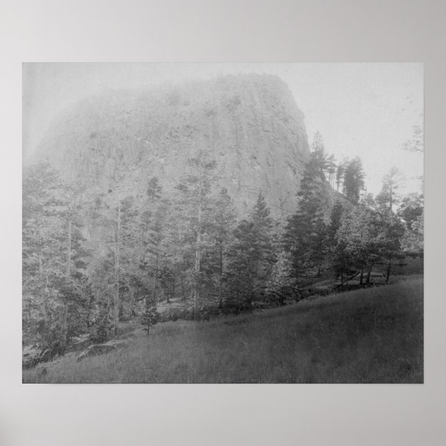 Póster Pequeno Campo de Beyod Butte e Árvores do Missouri (Frente)