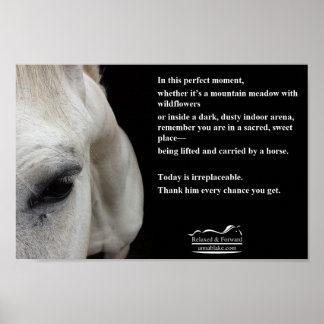 Poster pequeno com um cavalo branco e uma citação