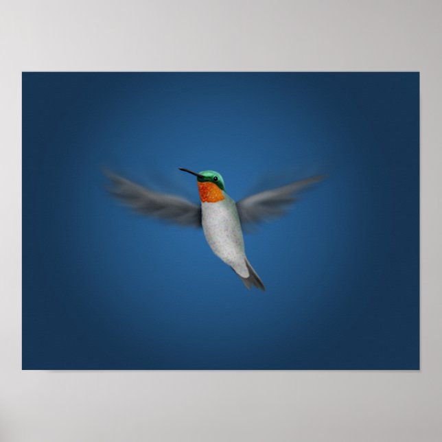 Poster Pequeno Hummingbird Ilustrado (Frente)