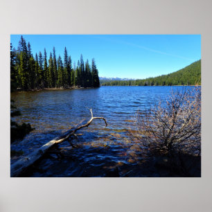 Poster Pequeno Lago Cultus, OR