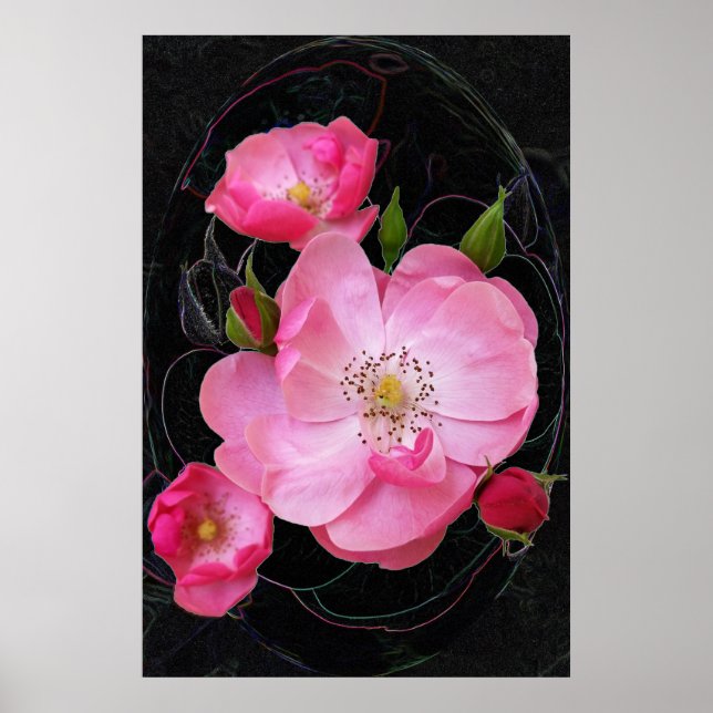 Poster pequeno rosebud abre (Frente)