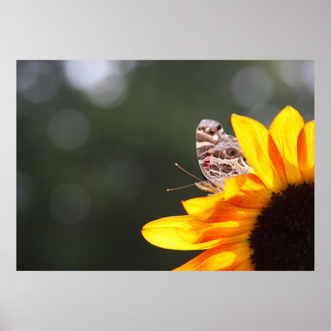 Poster Pequim (Frente)