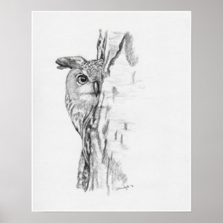 Póster Pequim Coruja"