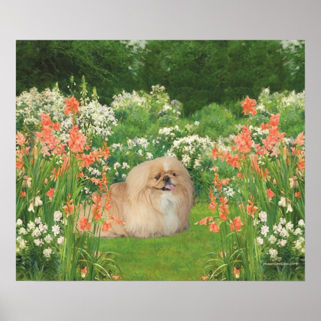 Póster Pequinês em um Jardim (Frente)