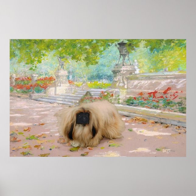 Póster Pequinês Mel em Ambiente Floral (Frente)