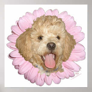 Póster Pequinês / Mistura de Poodle Flor de Primavera