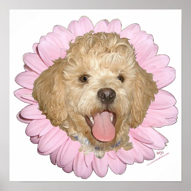 Póster Pequinês / Mistura de Poodle Flor de Primavera (Frente)