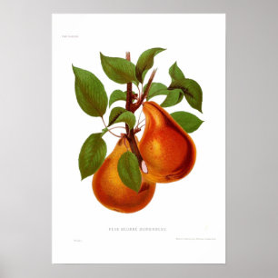 Poster Pera Beurre Durondeau