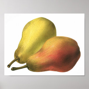 Póster Peras Antigas, Alimentos Orgânicos, Fruta Madura