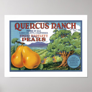 Póster Peras de Bartlett do rancho do Quercus