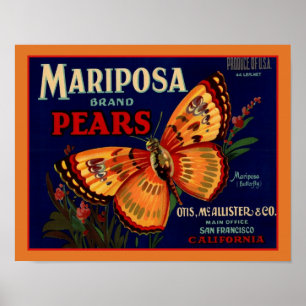 Poster Peras de borboleta Mariposa de 1940