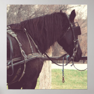 Póster Percheron, Faux Vintage