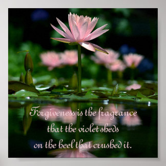 Póster Perdão é a fragrância que a violeta abraça