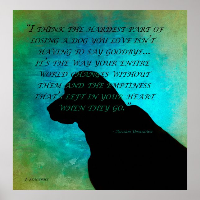 Poster Perder um Cachorro (Frente)