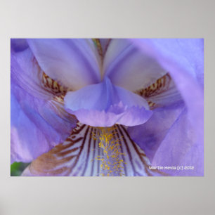 Póster Perdido em um Sonho