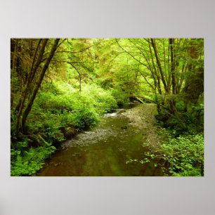 Póster Perdido Homem Creek I no Parque Nacional de Redwoo