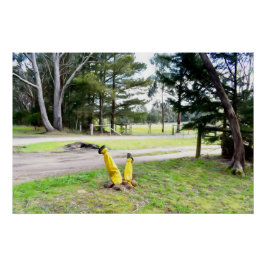 Póster Perdido no Jardim de novo