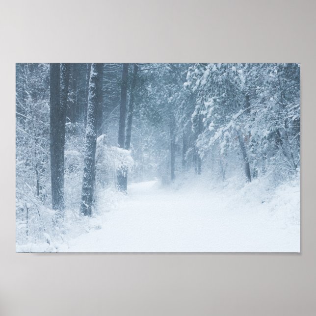 Poster Perdido numa floresta mágica (Frente)