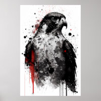 Peregrine Falcon Portrait