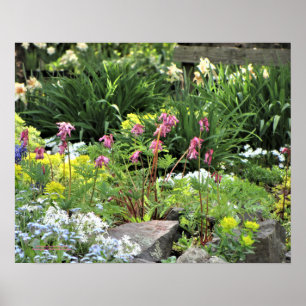 Poster Perennials do jardim do primavera