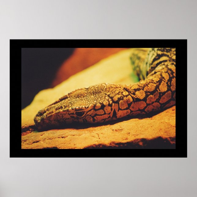 Póster Perentie (Frente)