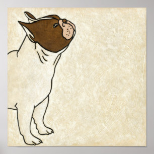 Póster Perfil do Bulldog Francês em Busca