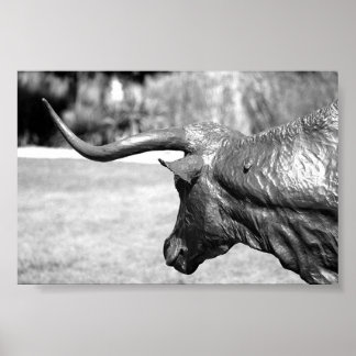 Poster Perfil Longhorn