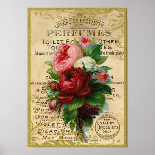 Poster Perfume antigo dos rosas