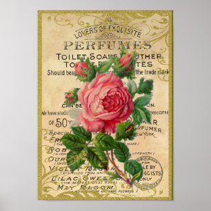 Poster Perfume cor-de-rosa antigo dos rosas