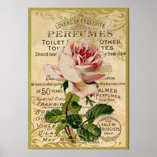 Póster Perfume de Rosas Rosa Antiquadas (Frente)