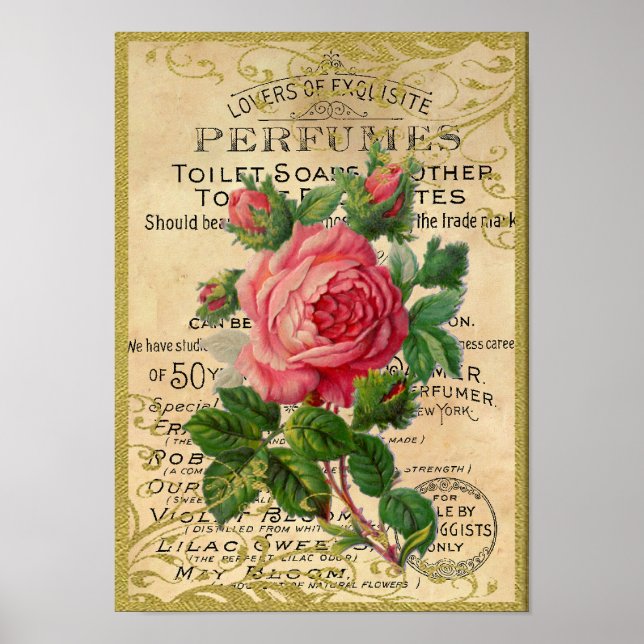 Poster Perfume de Rosas Rosa Antiquadas (Frente)
