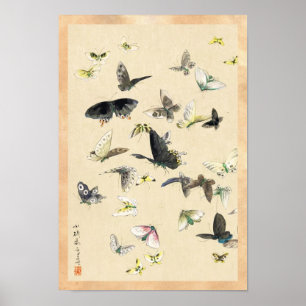 Poster pergaminho da borboleta ukiyo-e legal japonês