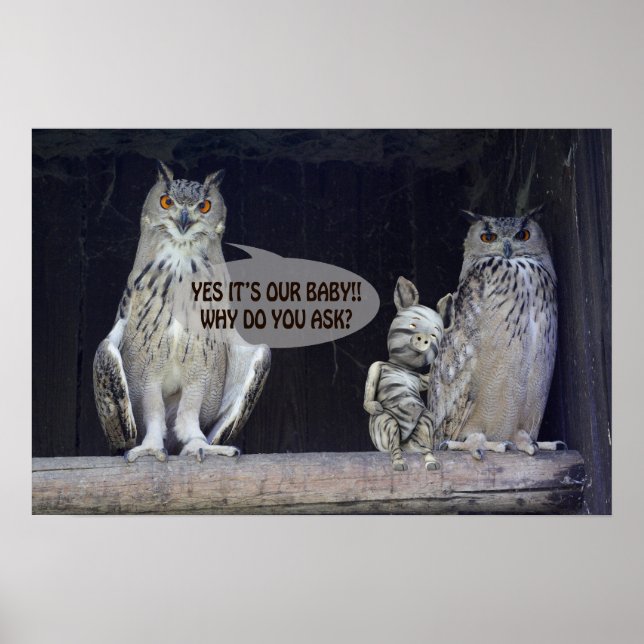 Póster Pergunta sobre bobo (Frente)