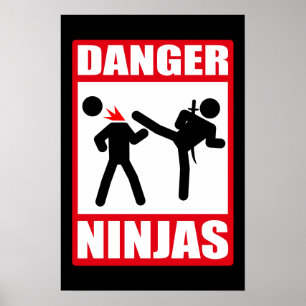 Póster Perigo Ninjas
