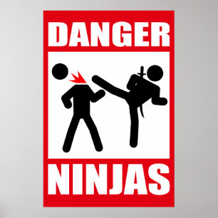 Póster Perigo Ninjas