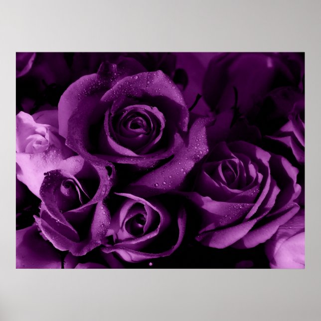 Póster Perigo Roxo (Frente)