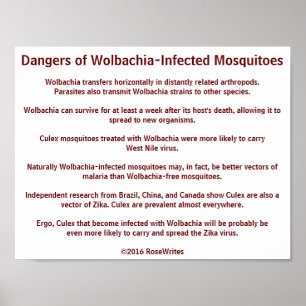 Poster Perigos de mosquitos de Wolbachia por RoseWrites
