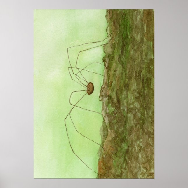 Poster Pernas longas de pai (Frente)