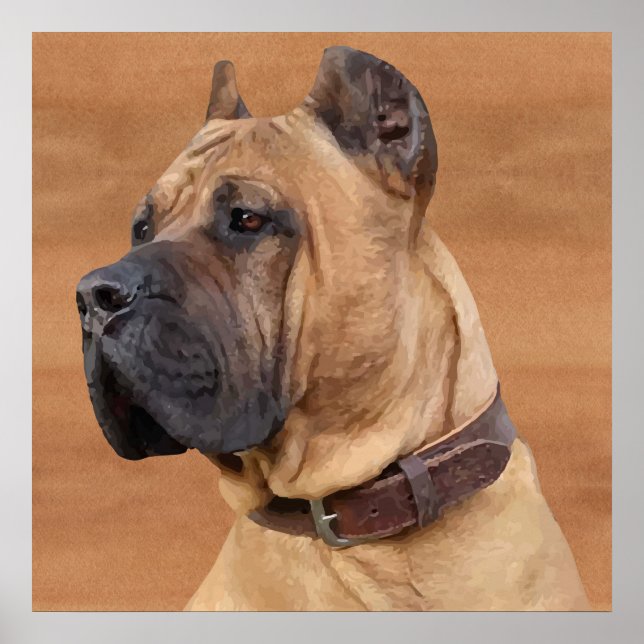Poster Perro de Presa Canario - Dogo Canario (Frente)