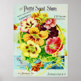 Póster Perry Seed Store Vintage Advertisement