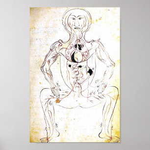 Poster persa do século XIII da anatomia do vintag