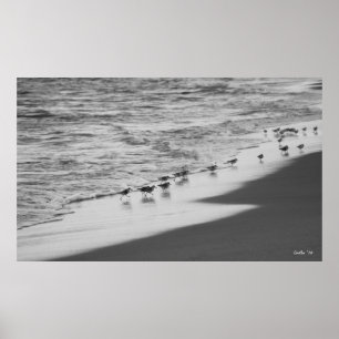 Póster Perseguição de Sandpipers