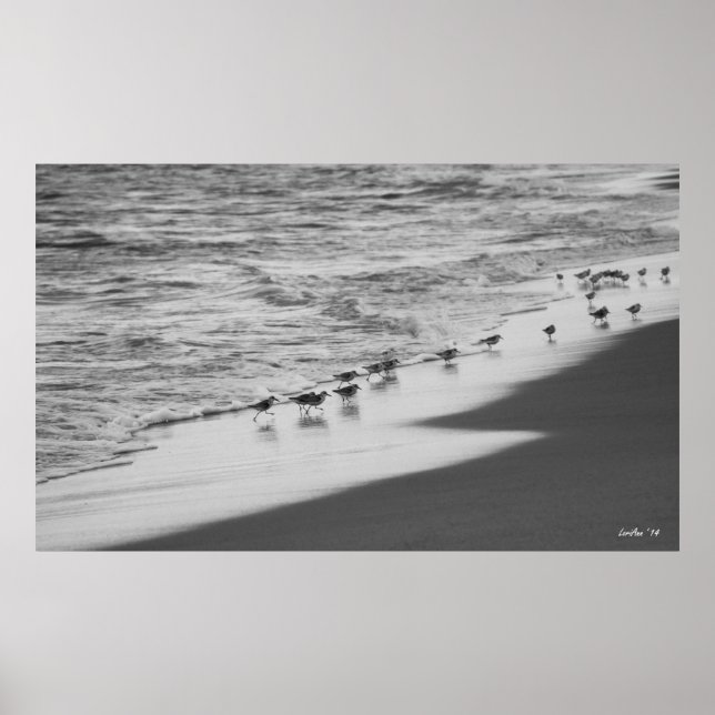 Póster Perseguição de Sandpipers (Frente)