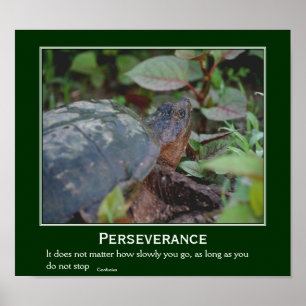 Póster Perseverança Confúcio Citação Tartaruga Inspir