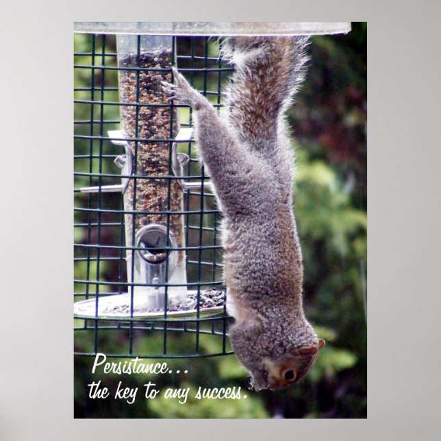 Poster Persistência (Frente)