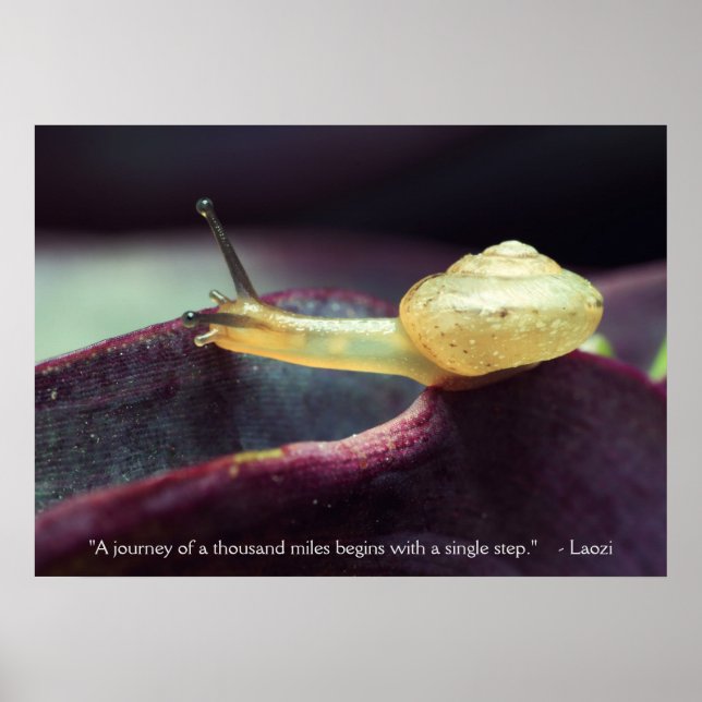 Póster Persistência da Perseverança da Cotação Motivacion (Frente)