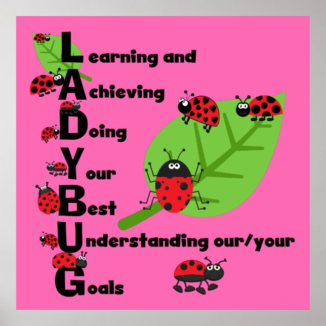 POSTER Personalizada LADYBUG (Frente)