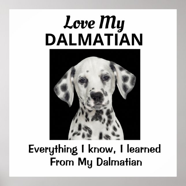 Poster Personalizado Dalmático (Frente)